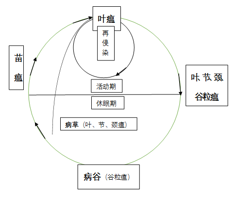 臺州農(nóng)資